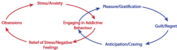 Dual Cycles of Addiction